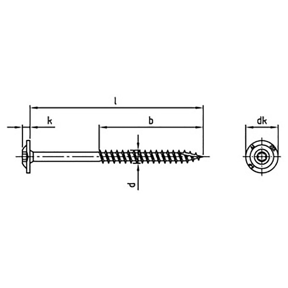 Certifix CFTSP2-F timber screw, pan head, A2 stainless 10.0 x 220/105 TX40