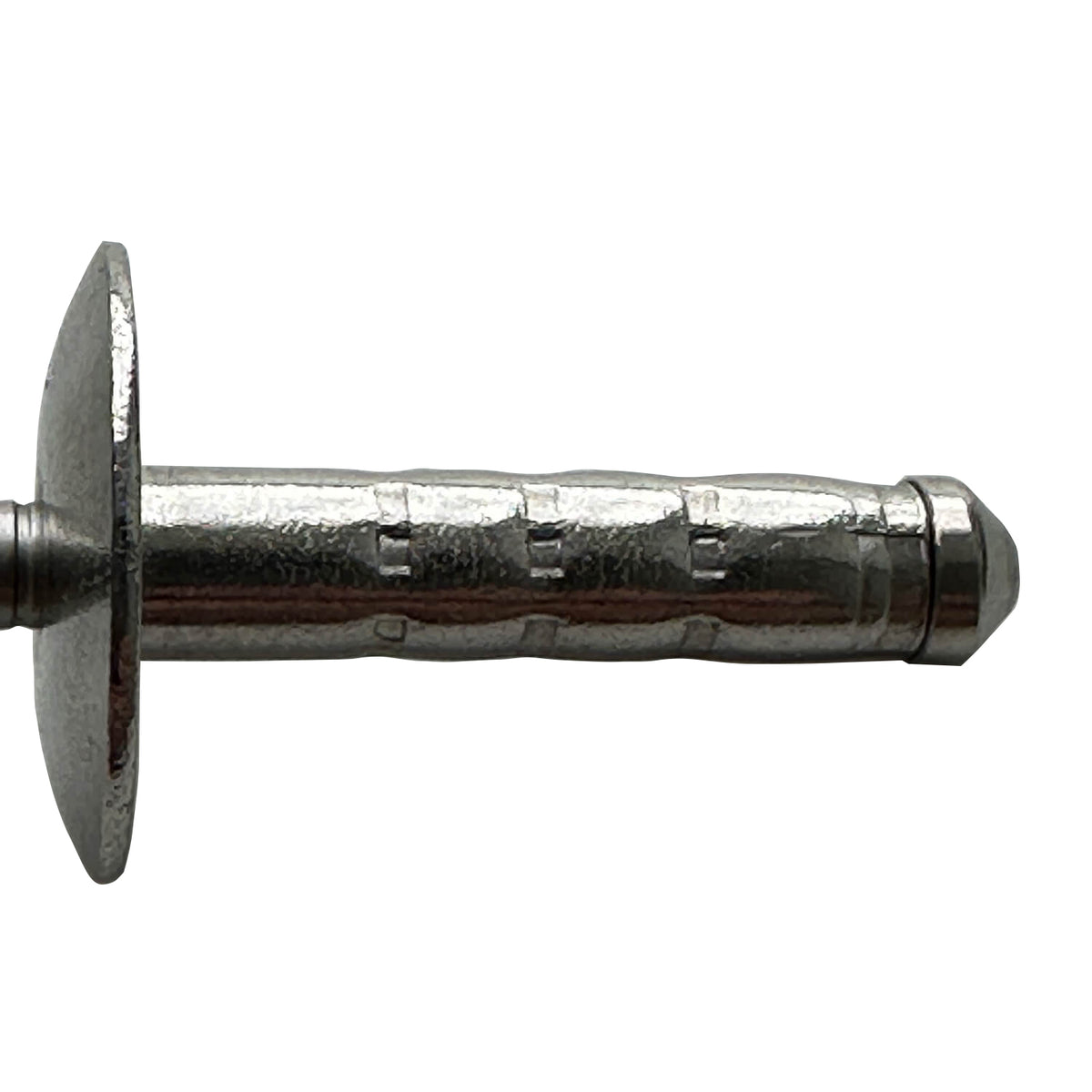 A4 Rivet Certifix RMGLFII-4/4 Rivet large dome head multi-grip large flange A4 ...