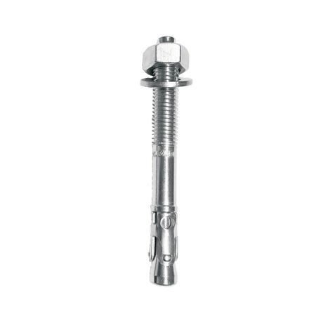 Certifix CFTB ZP 10-10/60 zinc plated through bolt