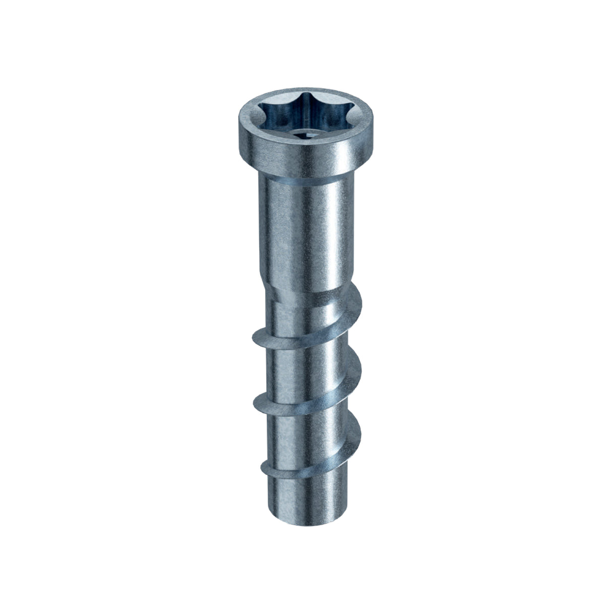 Certifix CFCSMG concrete screw 10 x 40 / IM8 x 10 with internal metric thread zinc-plate TX55