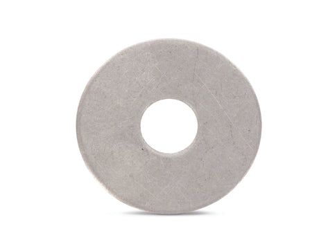 Certifix CFPW A4 stainless M8 x 20 x 1.5 penny washer