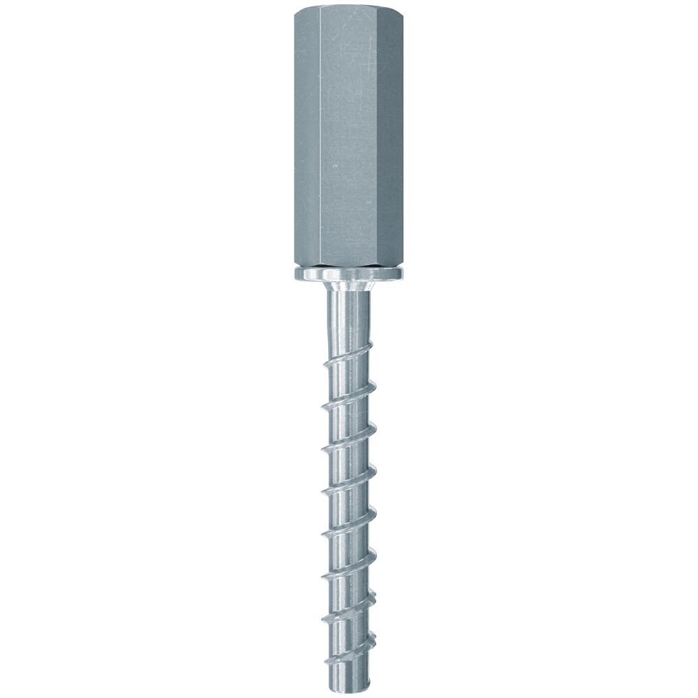 fischer ULTRACUT FBS II 6x55 M8/19 hex head with internal thread Zinc Concrete Screw [546397]