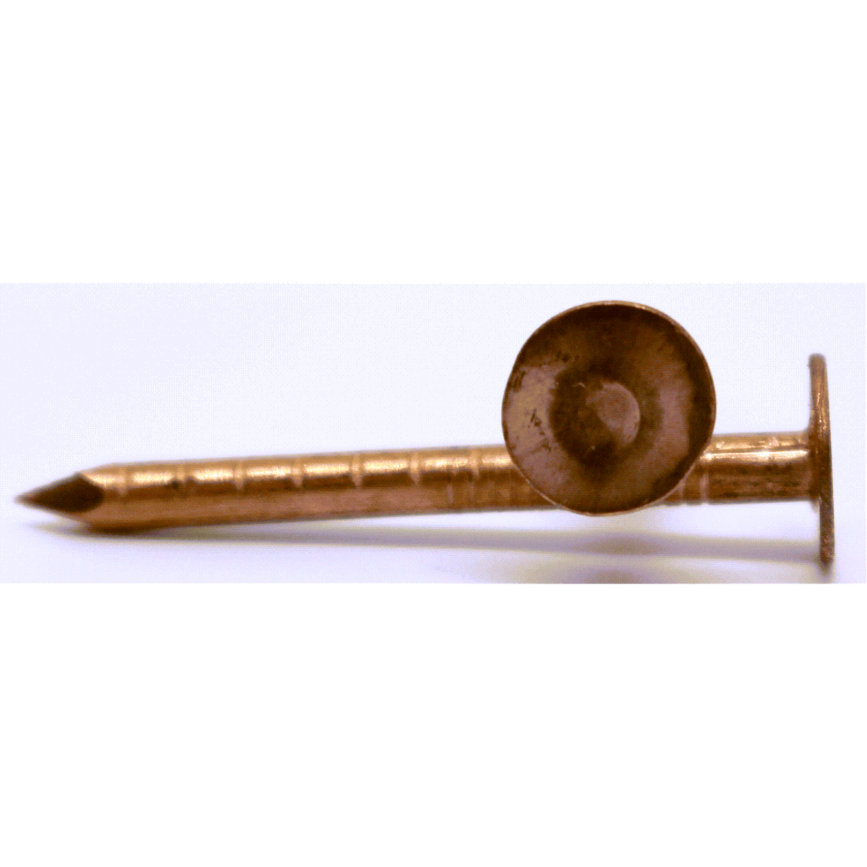 Samac 25x2.65mm Copper Clout Nails 25kg