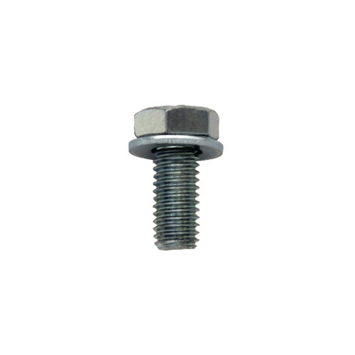 Certifix CFS-IG 12x45 A4 stainless screw and washer