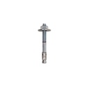 Certifix CFBZ3-U 10/50 10 x 130 A4 stainless through bolt