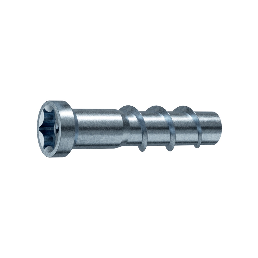 CFCSMG concrete screw 10 x 40 / IM8 x 10 with internal metric thread zinc-plate TX55