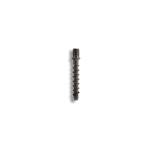 [CFCSII4-6*45/8*10] CFCS II concrete screw 6 x 45 / M8 x 10 with external metric thread A4 stainless TX25